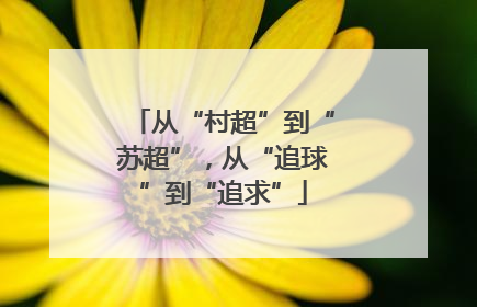 从“村超”到“苏超”，从“追球”到“追求”